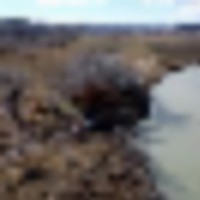 Lower White River Ranch images 3