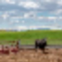 Bull Ridge Irrigated Farm images 2