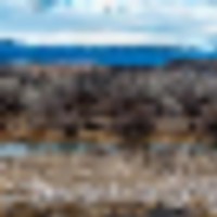 Riverfront Lot on Gunnison River in Western Colorado images 3