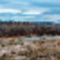 Riverfront Lot on Gunnison River in Western Colorado images 4