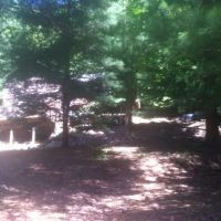 18 acres Blue Creek Ohio