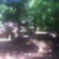 18 acres Blue Creek Ohio