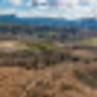 Colorado Land with Year-Round Forest Access images 1