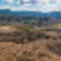 Colorado Land with Year-Round Forest Access images 2