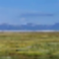 Sportsman Ranch at Arrowhead Ranch images 4