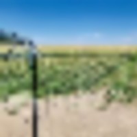 Melcher Irrigated Farm For Sale images 1