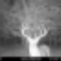 Rare 160 Acre Deer Lease Opportunity images 1