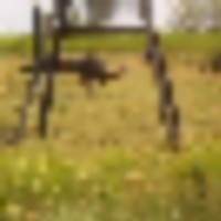 A1BC3F3E-BC0A-425D-A8B2-0C814117F55B__resize-thumb
