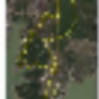 Bear_Creek_Hunting_Club_-_Aerial_914_1__resize-thumb