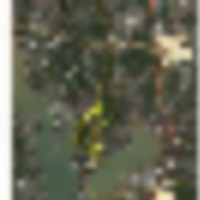 Bear_Creek_Hunting_Club_-_Location_914_1__resize-thumb