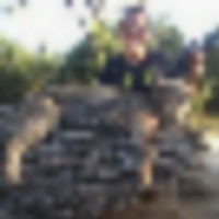 Bobcat_1__resize-thumb