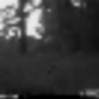 CDY_0198__resize-thumb