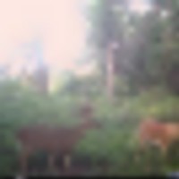 CDY_0360__resize-thumb