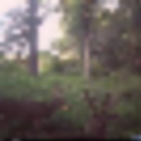 CDY_0438__resize-thumb