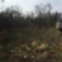 Deer_Feeder_2__resize-thumb