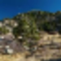 ELK HAVEN, AREA 7 WYOMING By the Week