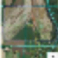 Wabash River timber and farmland Hunting lease on 730ac