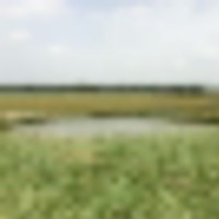 Hoo104bestpic__resize-thumb