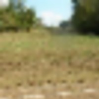 Hydrant_Arkansas__resize-thumb