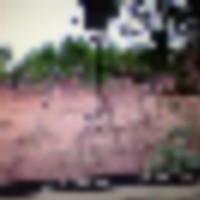 IMG951861__resize-thumb