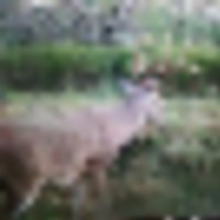 IMG_0308_1__resize-thumb