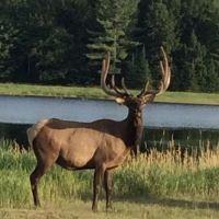 The Wilderness Reserve
