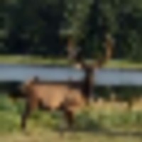 The Wilderness Reserve