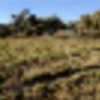 1024 Acres of River Hills Prime Whitetail and Mule Deer Hunting with Turkey, Pheasant, Prairie Dog,