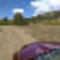 1700 acres, Mule Deer, Elk, Bear.