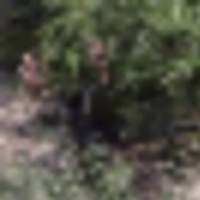 IMG_4386__28Villa_29_1__resize-thumb