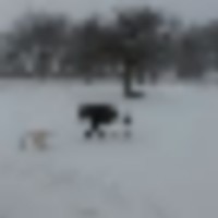 Jan_2014_040__resize-thumb