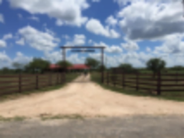 52 Acre South Texas Ranch with nice Lodging featured image