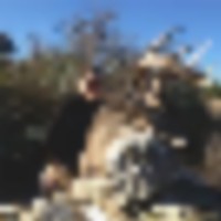 Lady_buck_1__resize-thumb