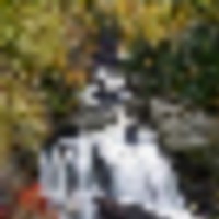 531,148 Acres Nantahala National Forest Deer Hunting Land in Macon, NC images 5