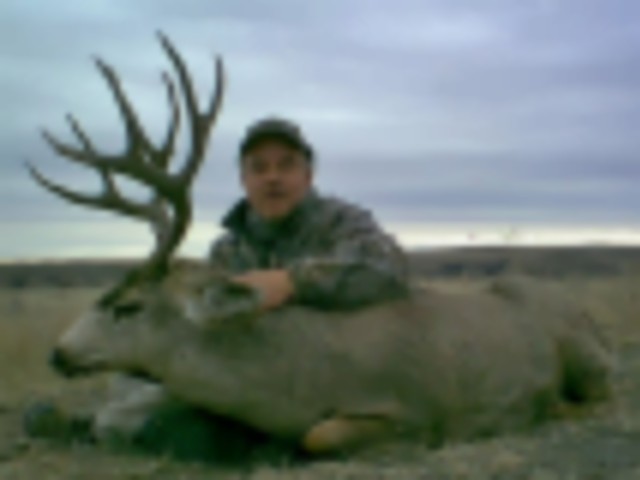 Discounted Low Cost Mule Deer Hunts, even Rut Hunts are available for Trophy Mule Deer in Northern W featured image
