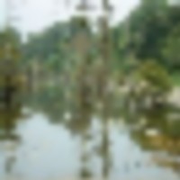 Resized_20180103_142601__resize-thumb