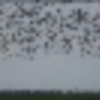 Resized_20180103_142739_281_29_1__resize-thumb
