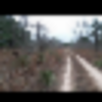 Screenshot_20180904-193604__resize-thumb
