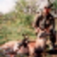 Spears__resize-thumb