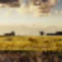 VEN_105_A__resize-thumb