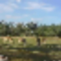 WGI_0007__resize-thumb