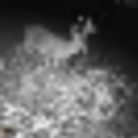 WGI_1757__resize-thumb