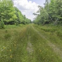 Northern Maine 1300 Acre Hunting Lease