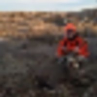 Great coyote hunting