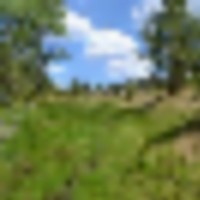 Aim High images 3