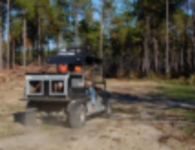 Southeast Alabama Quail, Deer, and Turkey Hunting at Private Lodge featured image