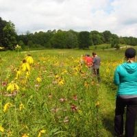 553 acres of Aldo Leopold WMA - Turkey & Deer hunt in New Haven, CT