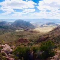 Javelina, bear, predators, bighorn, antelope, 2000 acres surrounded by wilderness.