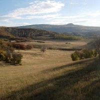 Hunt Elk and Mule Deer on 5,000 acres near National Forest