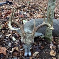 60 acre lease in Stewart County Tennessee